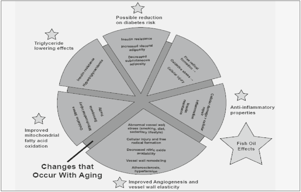 Figure 1  Potential Sites of Fish Oil Modification of Changes that Occur with Aging