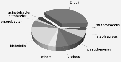 Figure 2 Origin of the positive bacterial samples