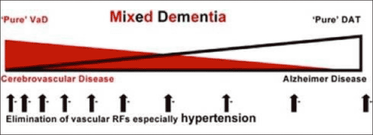 Figure 1 Conceptual Diagram of Mixed Dementia