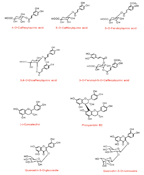 Figure 1 Structure of major hydroxycinnamates, flavan-3-ols and flavonols detected in WCCP samples