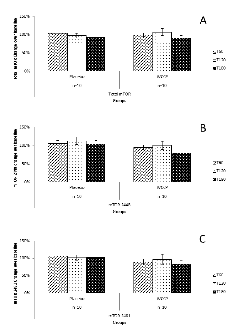 Figure 4 mTOR detection after supplementation with placebo or WCCP. Total mTOR (A) did not show any significant changes when compared to placebo at T60 (P=0.23), T120 (P=0.31) or T180 (P=0.09). mTOR 2448 (B) as well as mTOR 2481 (C) showed a reduction at T180 for the WCCP supplementation. However, when compared to placebo, neither mTOR 2448 (P=0.07) nor mTOR 2481 (P=0.19) were significant. Data are presented as Mean ± SE; n=10