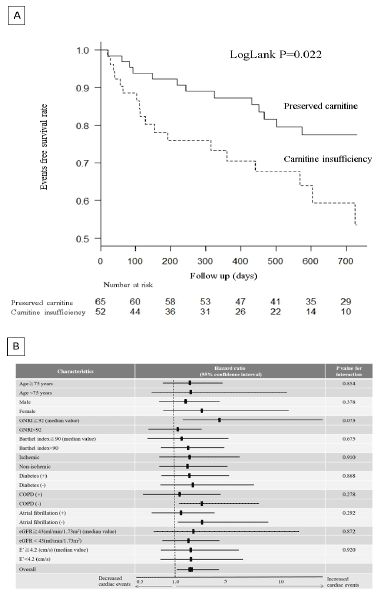 Figure 2 The Effect of Carnitine Insufficiency on Clinical Outcomes A: Event-free Survival Rate in Patients with or without Carnitine Insufficiency. B: Effect of Carnitine Insufficiency on Primary Outcomes in the Subgroups 