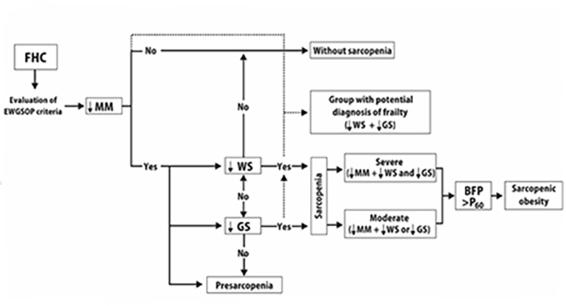 Figure 1 Diagnostic algorithm of sarcopenia and sarcopenic obesity (SO)