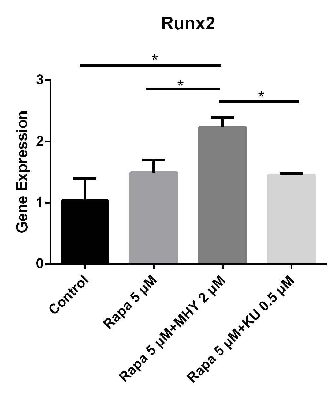 Figure 5 Both blocking mTOR1 or mTOR2 had little effects on the expression of Runx2; however, activation of mTOR2 induced the expression of Runx2
