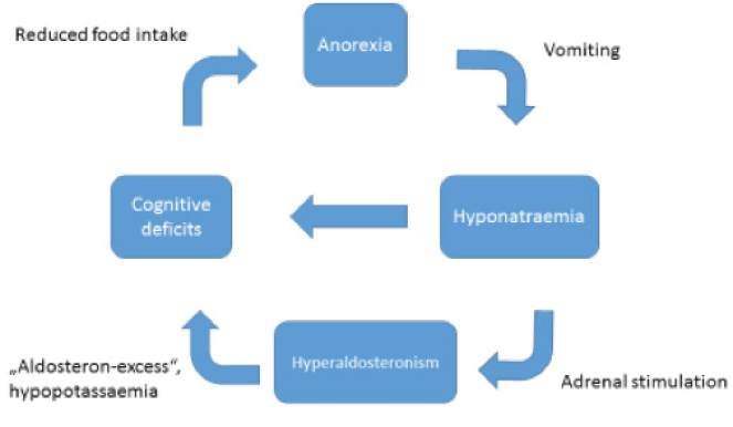 Figure 2 Anorexia, hyperaldosteronism and cognitive deficits - possible pathomechanism