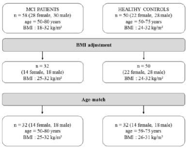 Figure 1 BMI adjustment and age-match for the group comparison
