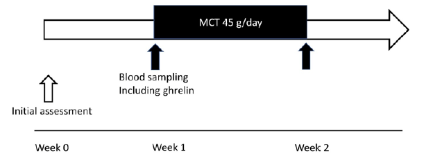 Figure 1 Study protocol. The present study examined two protocols. First, 24-hour profiles of the plasma levels of acylated and desacyl ghrelin without MCT ingestion were investigated. Second, changes in plasma ghrelin levels after oral ingestion of 45 g/day of MCTs for 1 week were measured. The study period of the current trial was designed to be 2 weeks. MCT: medium-chain triglyceride